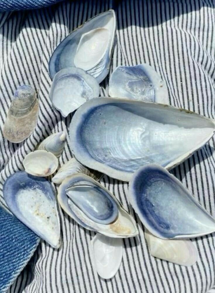 Seaside Blues