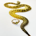 ripple ring with green tourmaline marquise on a page with a green snake